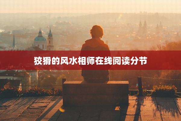 狡猾的风水相师在线阅读分节