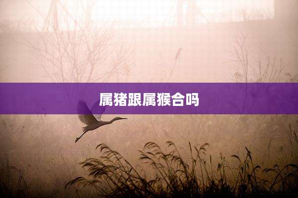属猪跟属猴合吗