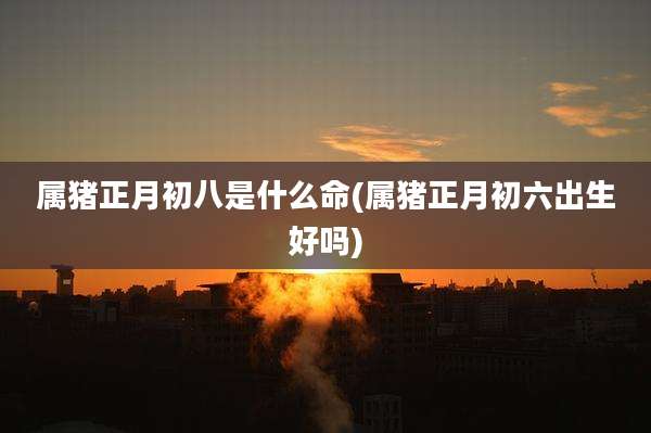 属猪正月初八是什么命(属猪正月初六出生好吗)