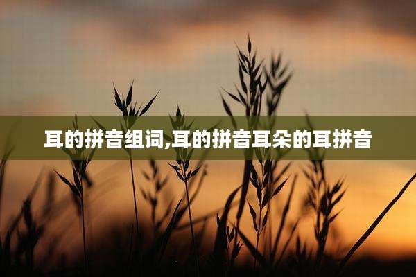 耳的拼音组词,耳的拼音耳朵的耳拼音