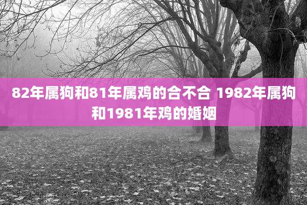 82年属狗和81年属鸡的合不合 1982年属狗和1981年鸡的婚姻