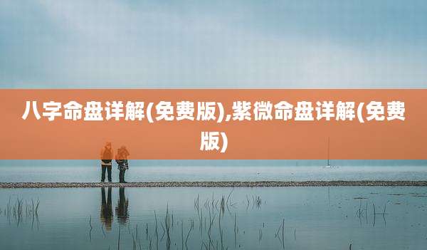 八字命盘详解(免费版),紫微命盘详解(免费版)