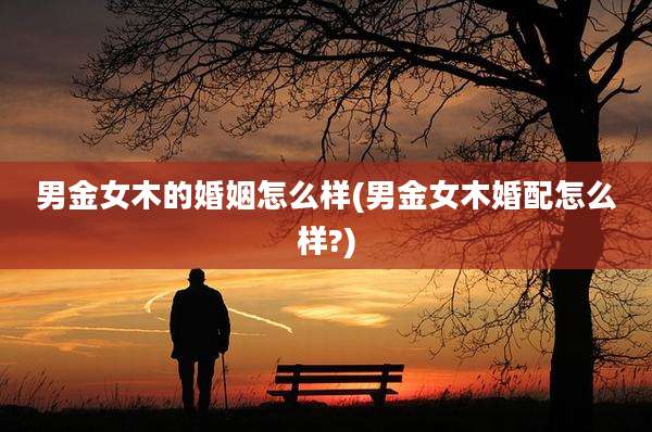 男金女木的婚姻怎么样(男金女木婚配怎么样?)