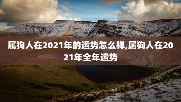 属狗人在2021年的运势怎么样,属狗人在2021年全年运势