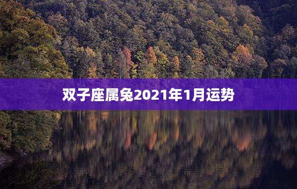 双子座属兔2021年1月运势