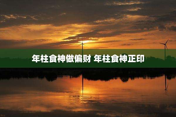 年柱食神做偏财 年柱食神正印
