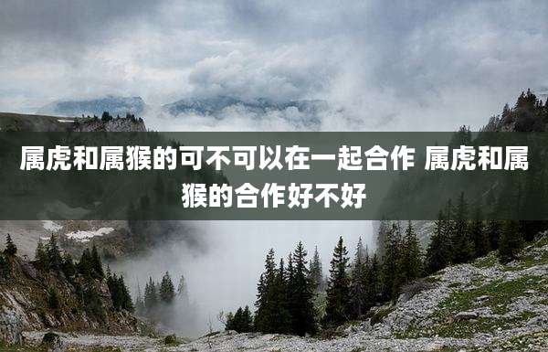 属虎和属猴的可不可以在一起合作 属虎和属猴的合作好不好