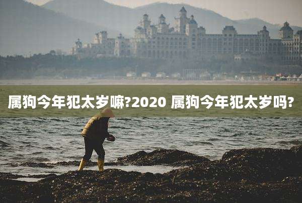 属狗今年犯太岁嘛?2020 属狗今年犯太岁吗?