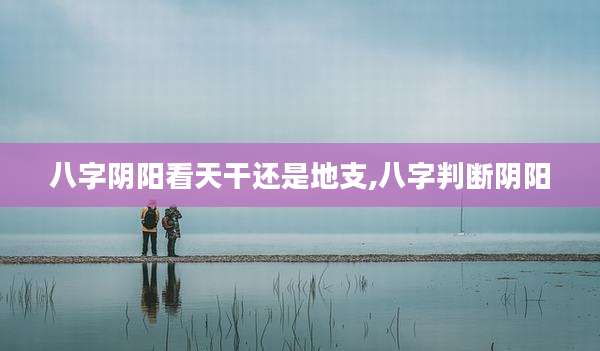 八字阴阳看天干还是地支,八字判断阴阳