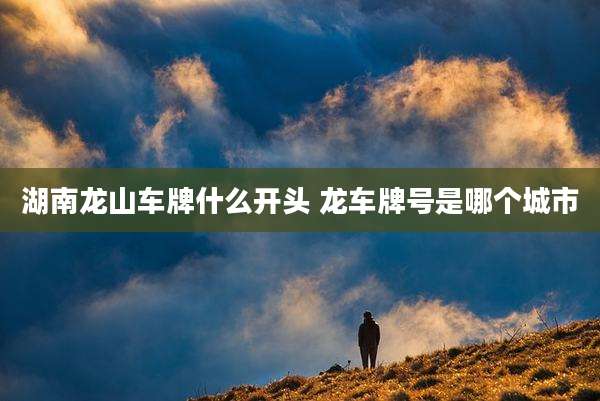 湖南龙山车牌什么开头 龙车牌号是哪个城市