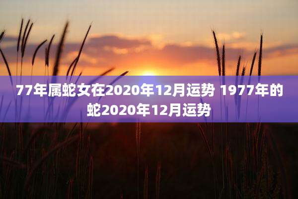 77年属蛇女在2020年12月运势 1977年的蛇2020年12月运势