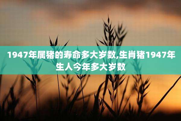 1947年属猪的寿命多大岁数,生肖猪1947年生人今年多大岁数