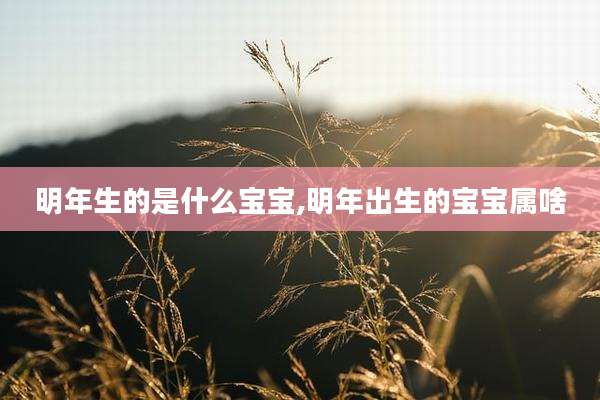 明年生的是什么宝宝,明年出生的宝宝属啥