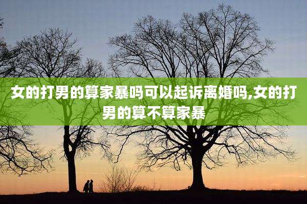 女的打男的算家暴吗可以起诉离婚吗,女的打男的算不算家暴