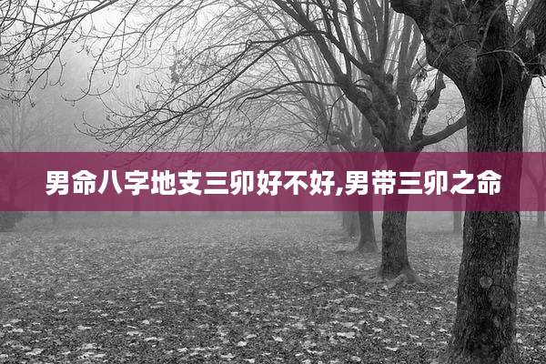 男命八字地支三卯好不好,男带三卯之命