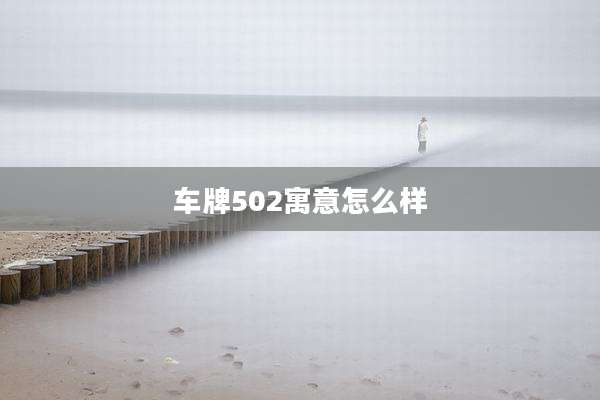 车牌502寓意怎么样