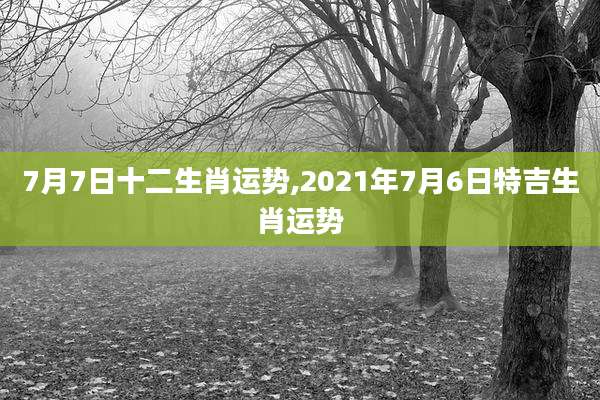 7月7日十二生肖运势,2021年7月6日特吉生肖运势