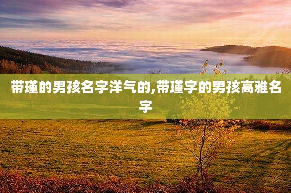 带瑾的男孩名字洋气的,带瑾字的男孩高雅名字