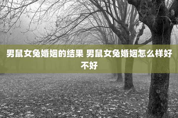 男鼠女兔婚姻的结果 男鼠女兔婚姻怎么样好不好