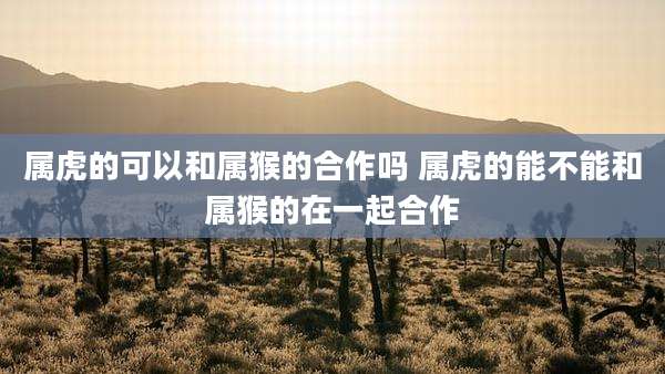 属虎的可以和属猴的合作吗 属虎的能不能和属猴的在一起合作