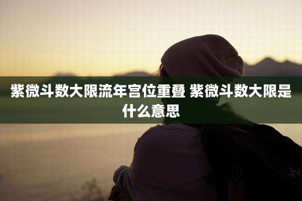 紫微斗数大限流年宫位重叠 紫微斗数大限是什么意思