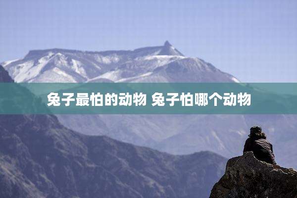 兔子最怕的动物 兔子怕哪个动物