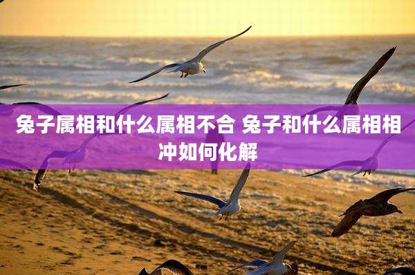 兔子属相和什么属相不合 兔子和什么属相相冲如何化解