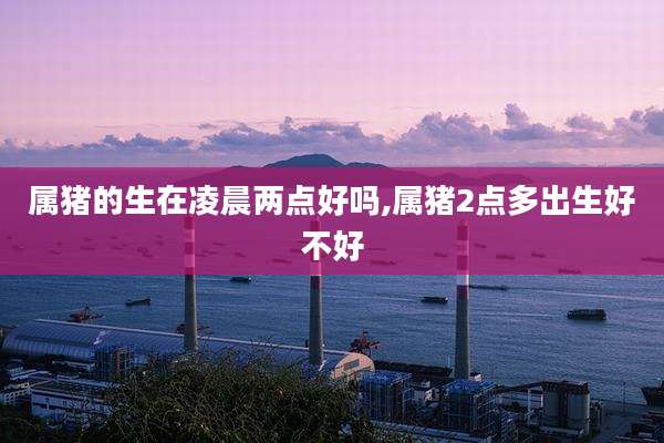属猪的生在凌晨两点好吗,属猪2点多出生好不好