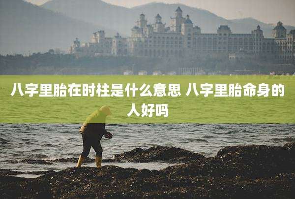 八字里胎在时柱是什么意思 八字里胎命身的人好吗