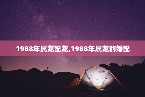 1988年属龙配龙,1988年属龙的婚配