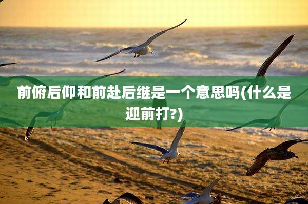 前俯后仰和前赴后继是一个意思吗(什么是迎前打?)