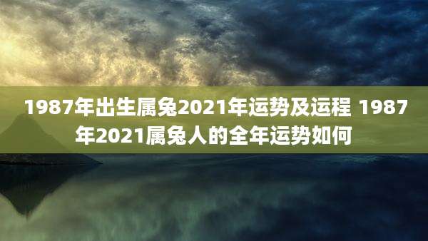 1987年出生属兔2021年运势及运程 1987年2021属兔人的全年运势如何
