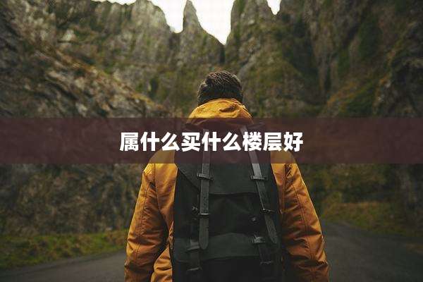 属什么买什么楼层好