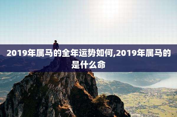 2019年属马的全年运势如何,2019年属马的是什么命