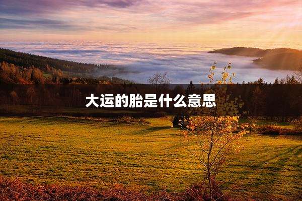大运的胎是什么意思