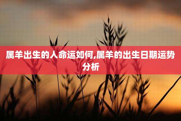 属羊出生的人命运如何,属羊的出生日期运势分析
