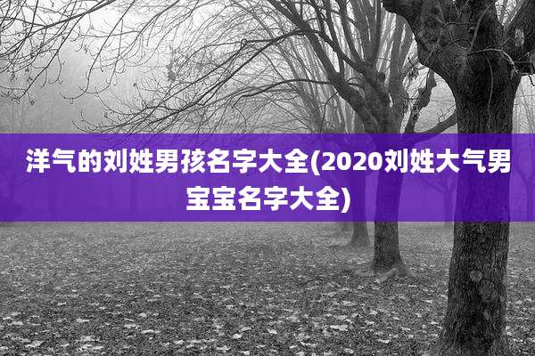 洋气的刘姓男孩名字大全(2020刘姓大气男宝宝名字大全)