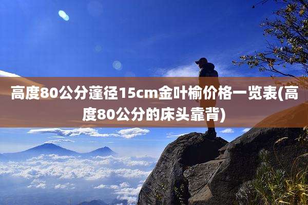 高度80公分蓬径15cm金叶榆价格一览表(高度80公分的床头靠背)