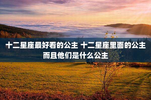 十二星座最好看的公主 十二星座里面的公主而且他们是什么公主