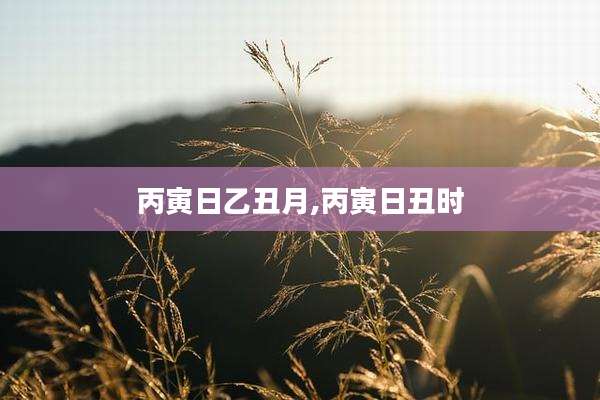 丙寅日乙丑月,丙寅日丑时