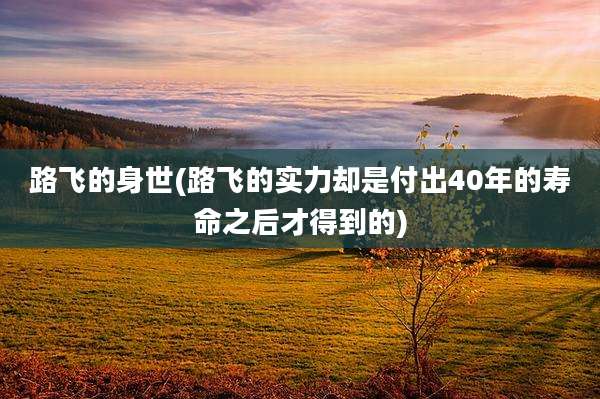 路飞的身世(路飞的实力却是付出40年的寿命之后才得到的)