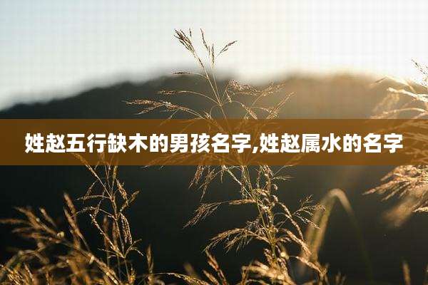 姓赵五行缺木的男孩名字,姓赵属水的名字