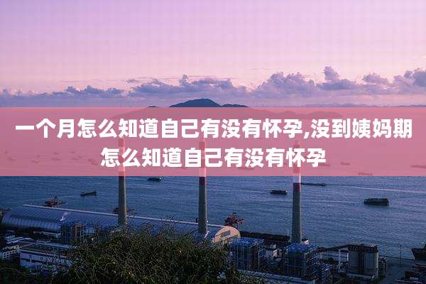 一个月怎么知道自己有没有怀孕,没到姨妈期怎么知道自己有没有怀孕