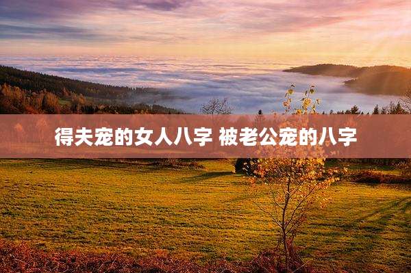 得夫宠的女人八字 被老公宠的八字