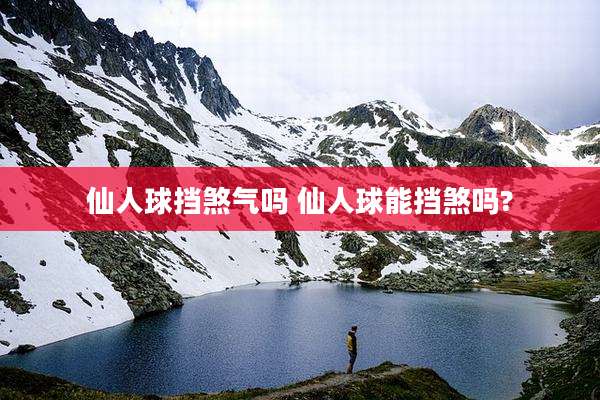 仙人球挡煞气吗 仙人球能挡煞吗?