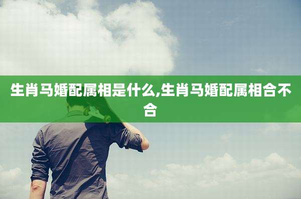 生肖马婚配属相是什么,生肖马婚配属相合不合