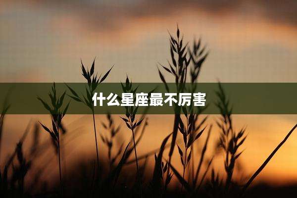 什么星座最不厉害