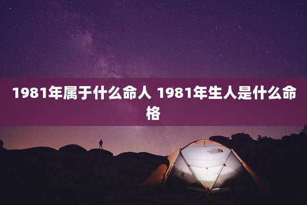 1981年属于什么命人 1981年生人是什么命格