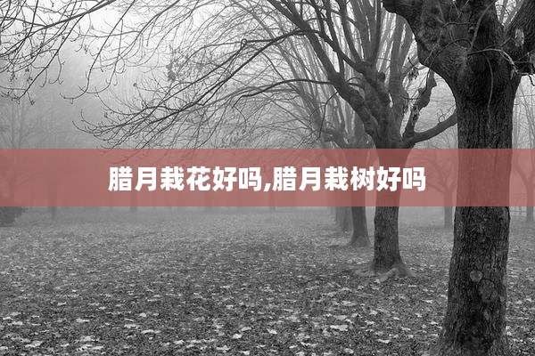 腊月栽花好吗,腊月栽树好吗