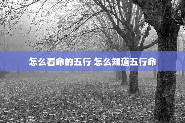 怎么看命的五行 怎么知道五行命